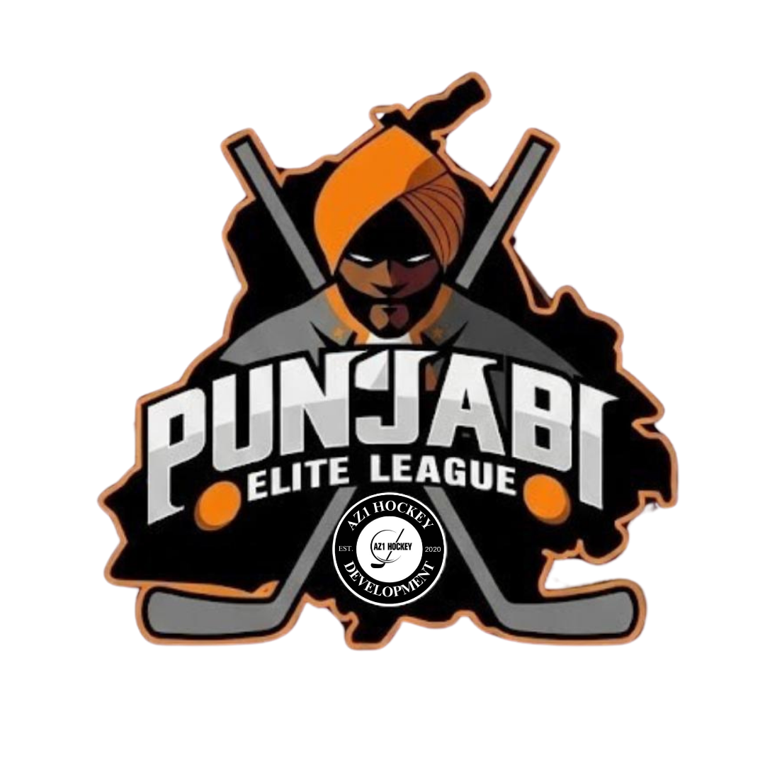 AZPEL Ball Hockey League